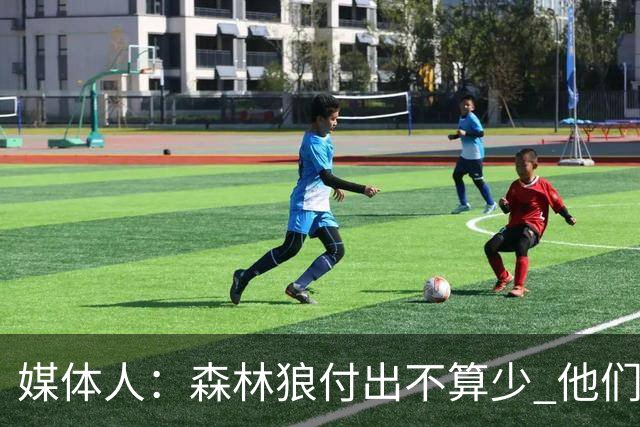 媒体人：森林狼付出不算少 他们确实需要变化 之前的阵容到上限了